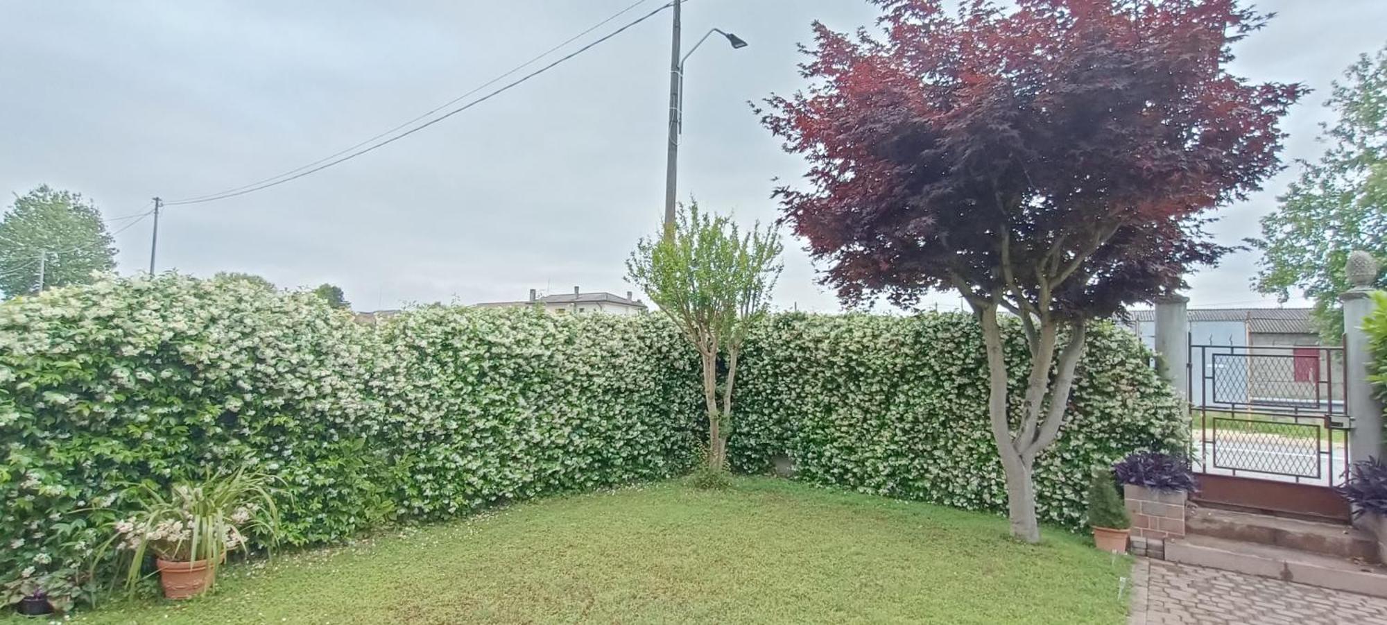 B&B We Care Appartamento Lendinara المظهر الخارجي الصورة
